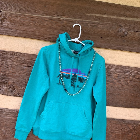 Patagonia S organic cotton Teal Hoodie bison Graphic sweatshirt buffalo pullover - Picture 2 of 7